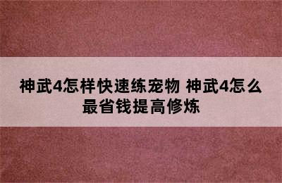 神武4怎样快速练宠物 神武4怎么最省钱提高修炼